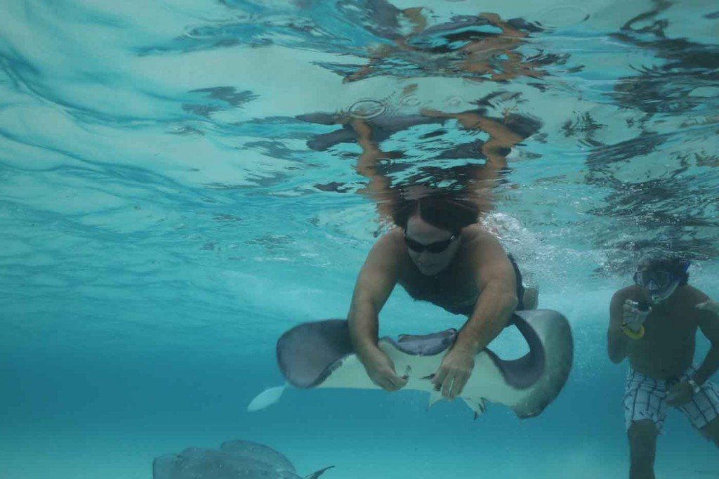dave underwater