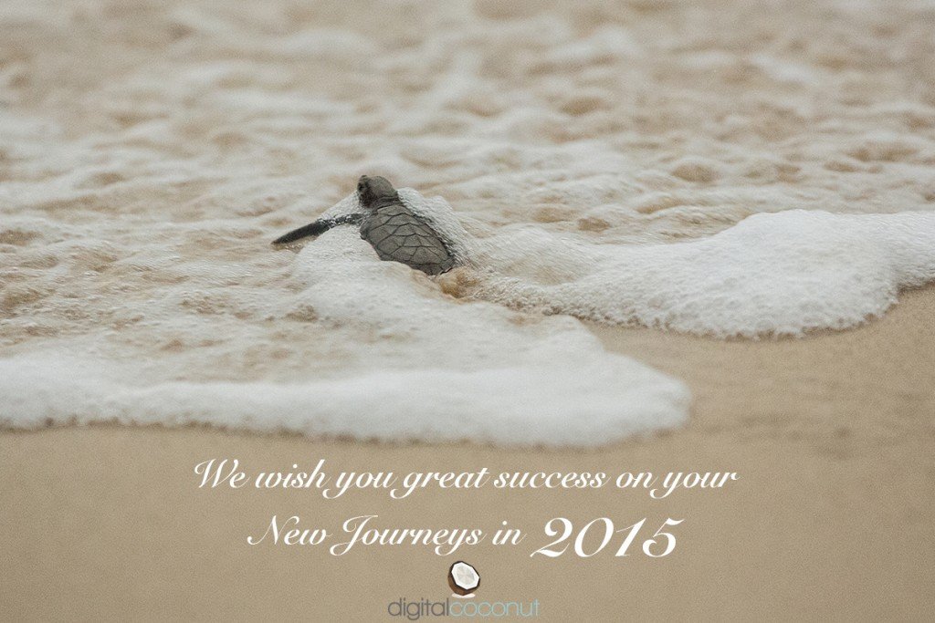 DCNewYear2015
