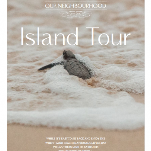 Island tour