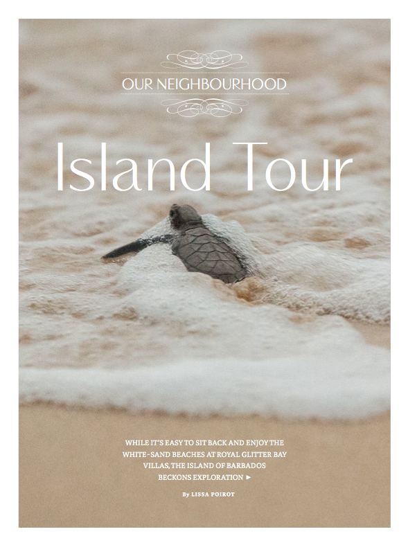 Island tour