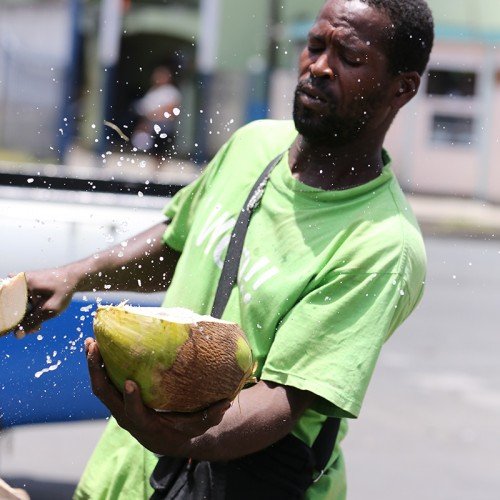 coconut vendor