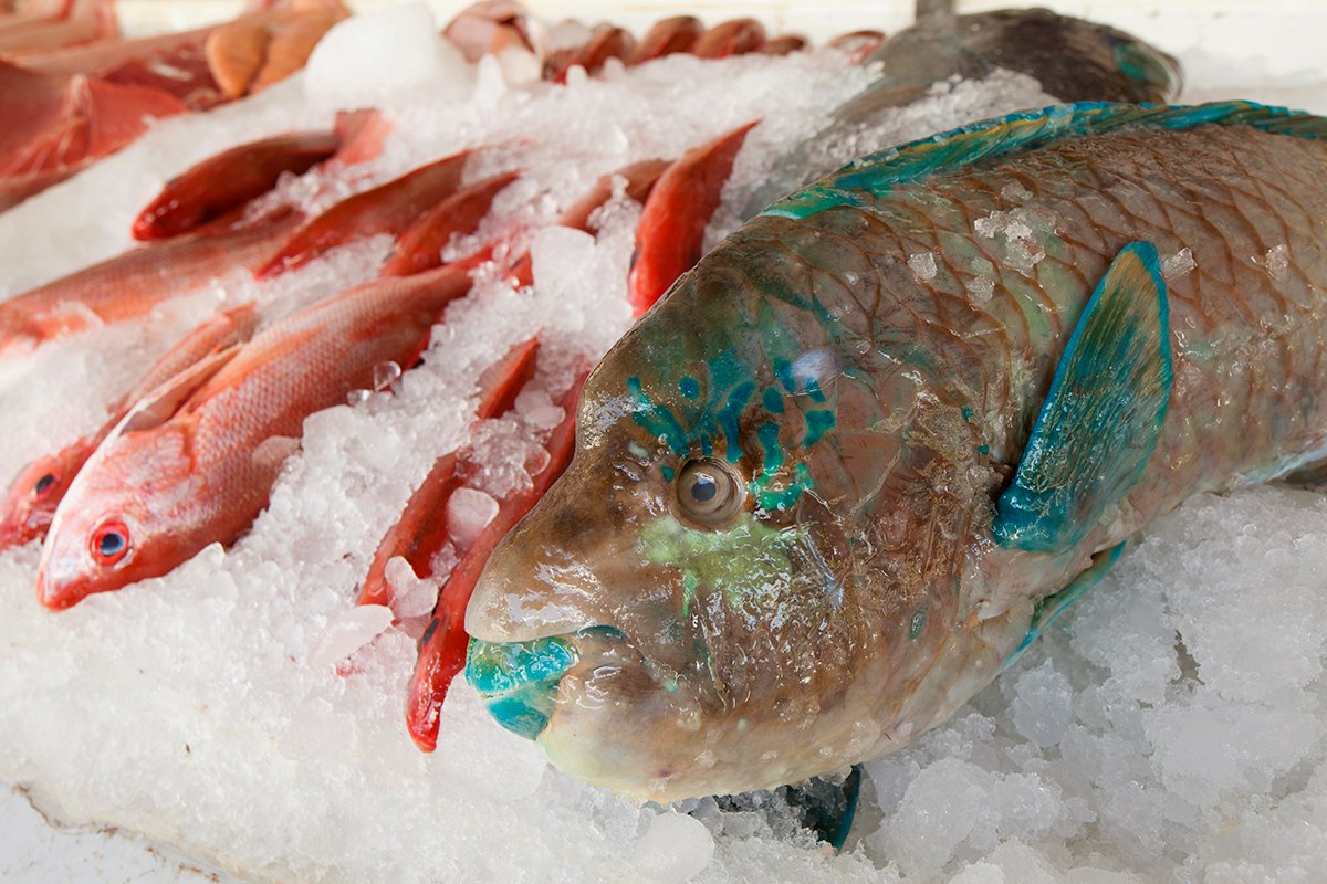 fish in market