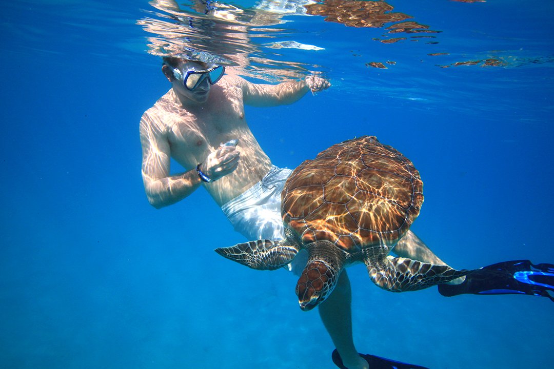 Snorkeling