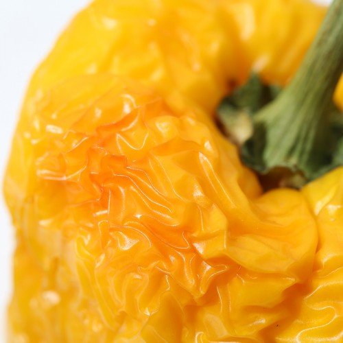yellow pepper