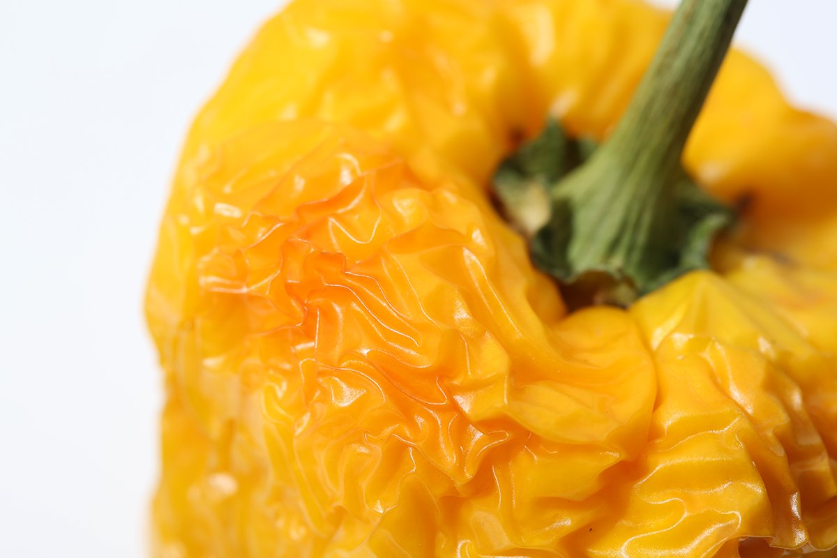 yellow pepper